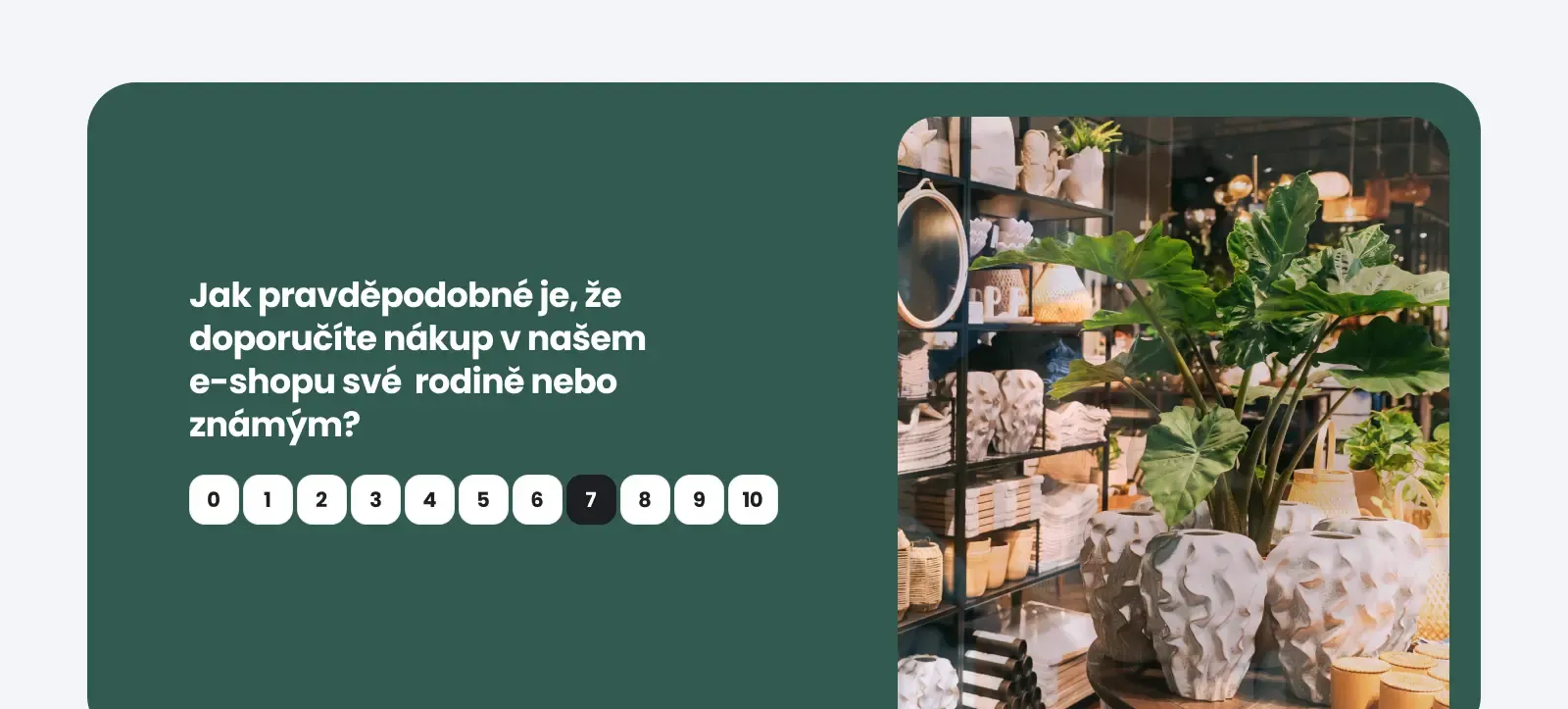 NPS® dotazník e-shopu